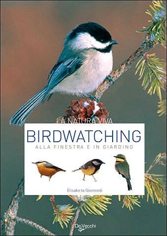 Birdwatching alla finestra - birdwatching,