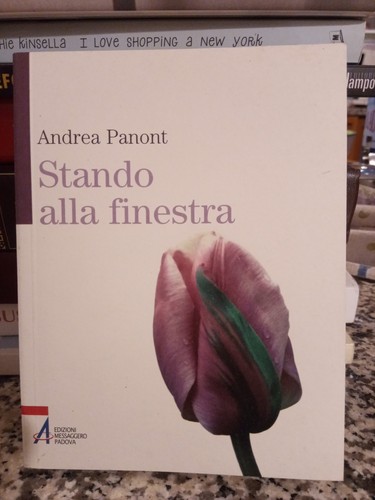Stando alla finestra - stando,