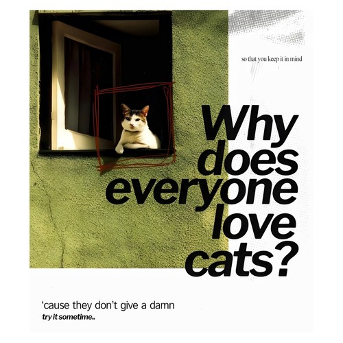 Poster divertente gatto - poster,