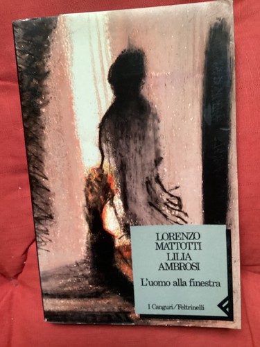 Uomo alla finestra - l'uomo,